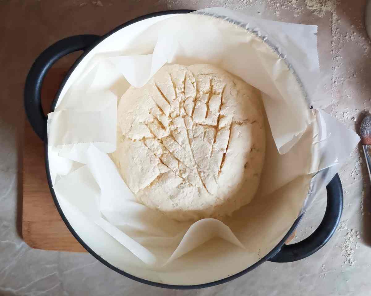 Gluten Free Sourdough Bread Scored in a Dutch Oven