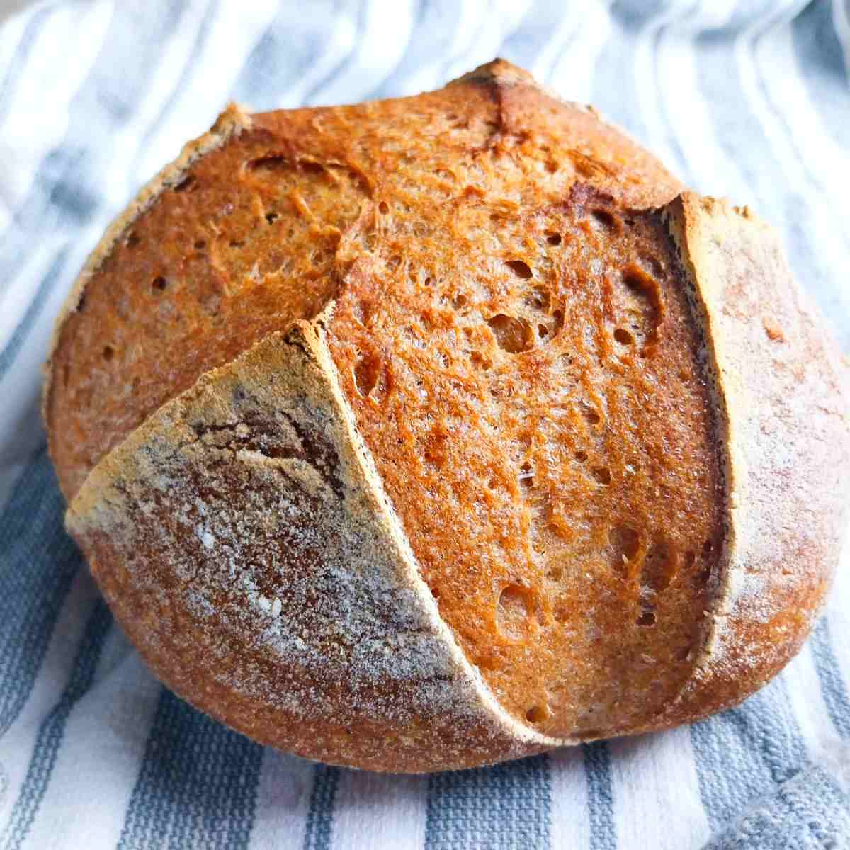 A loaf of gluten-free sourdough bread on a kitchen towel.