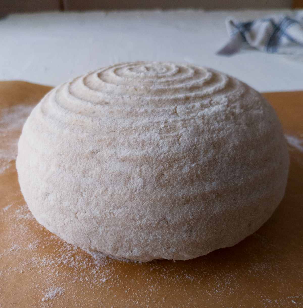 The dough after the final shaping.