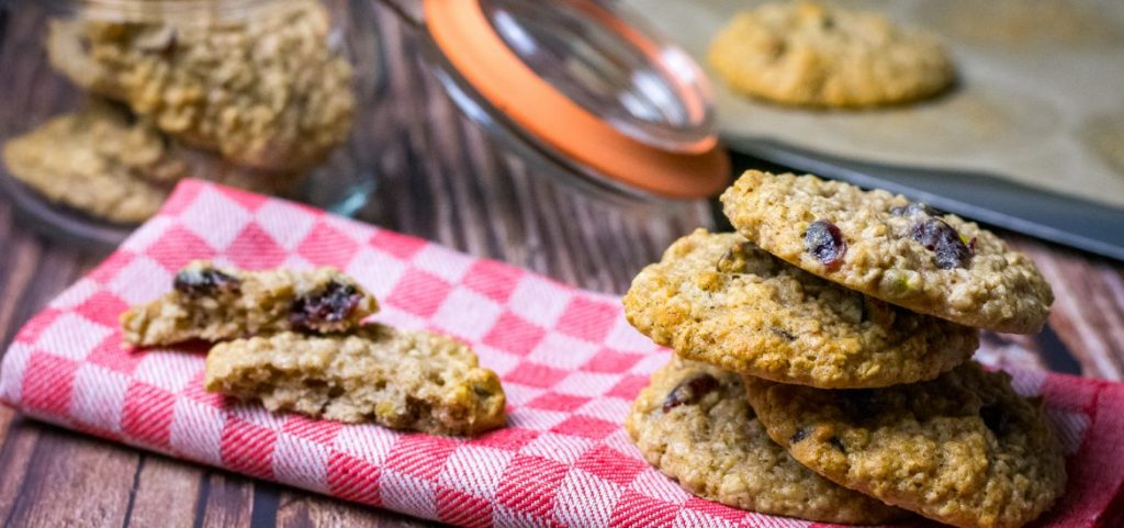 Sugar and Dairy Free Oat Cookies with Cranberries