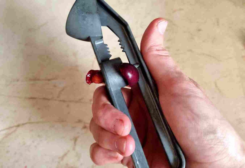 Cherry Pitting Tool