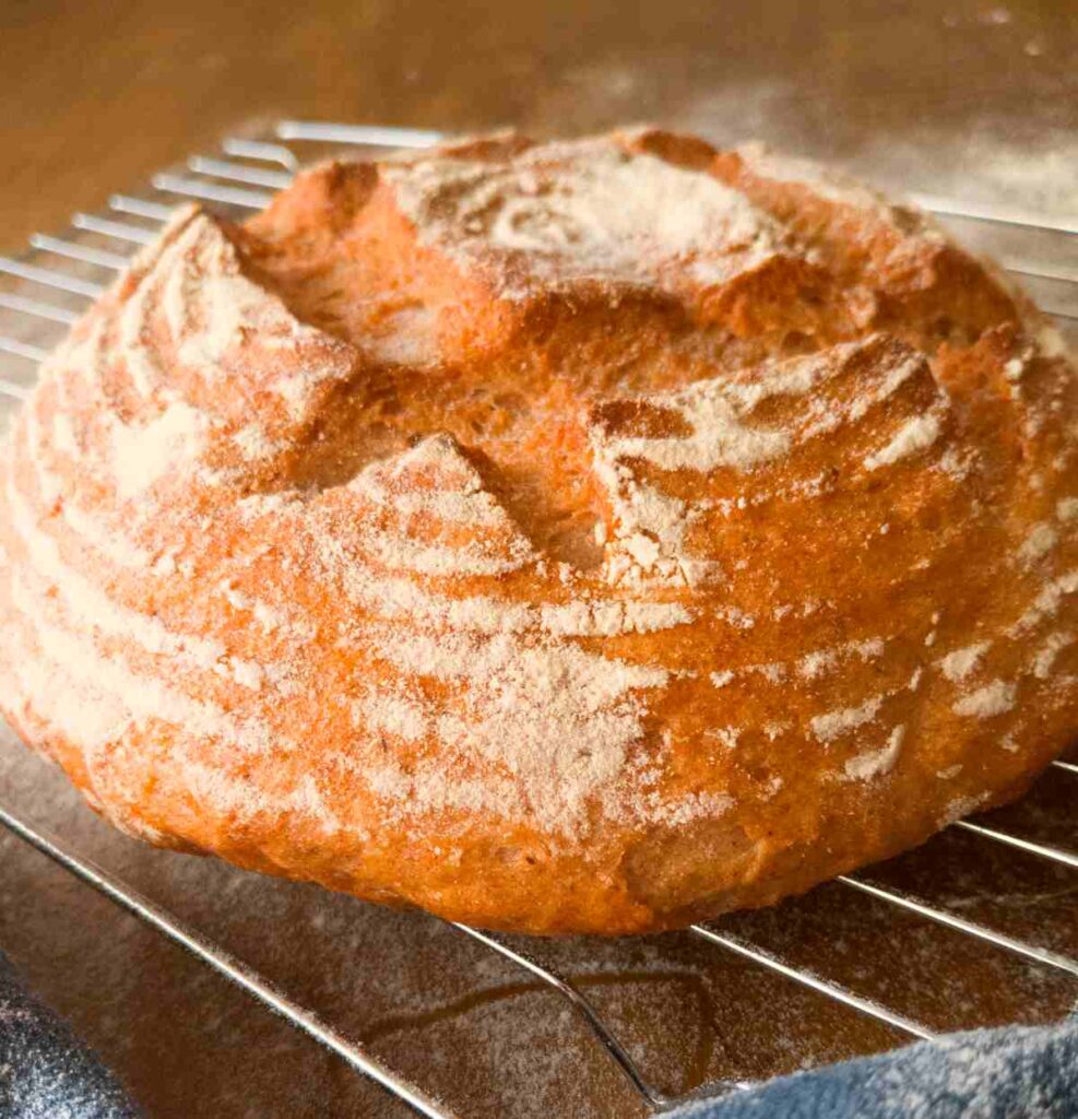 GlutenFree Bread With Psyllium Husk Natasha