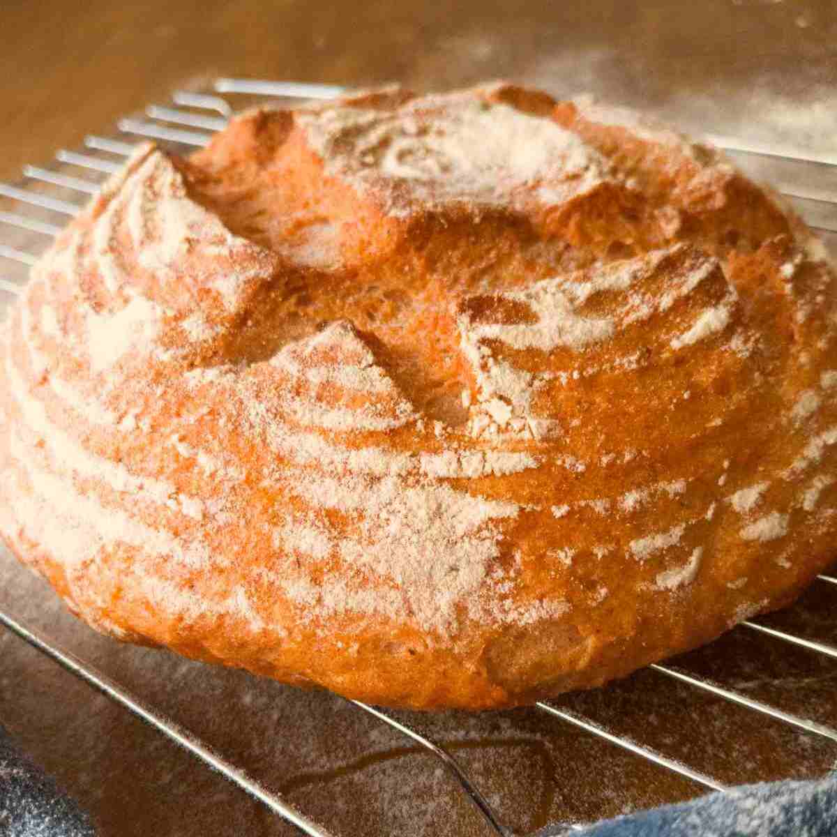 Gluten-free bread with psyllium husk on a cooling rack.