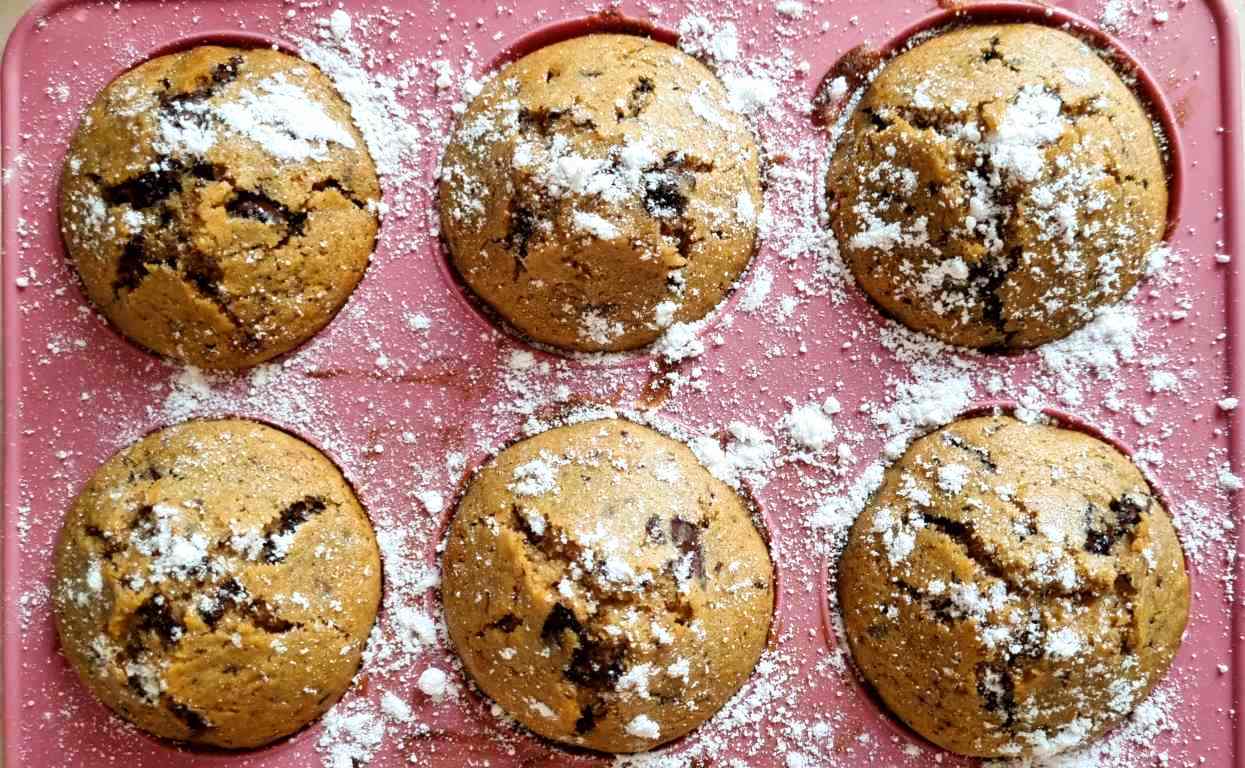 Gluten Free Rice Flour Chocolate Chip Muffins 