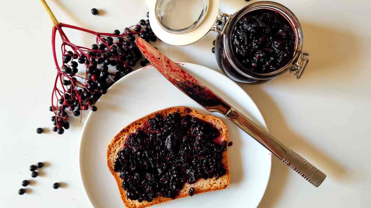 Elderberry Jam spread on a piece of Bread