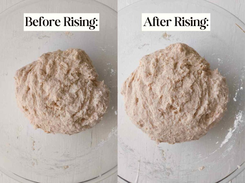 GlutenFree Sourdough Bagels (+Discard Option) Natasha's Home