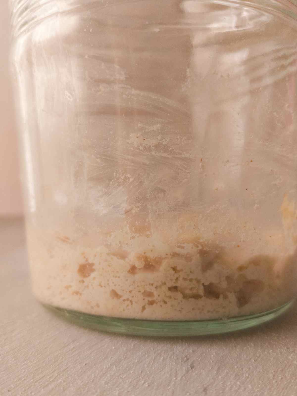 Brown rice starter showing bubbles and activity.