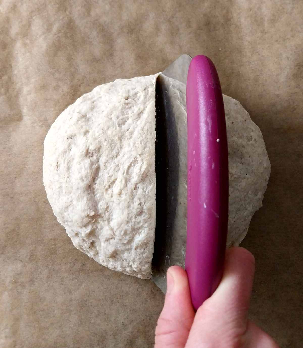 Separating the dough ball into two parts with a bench scraper.