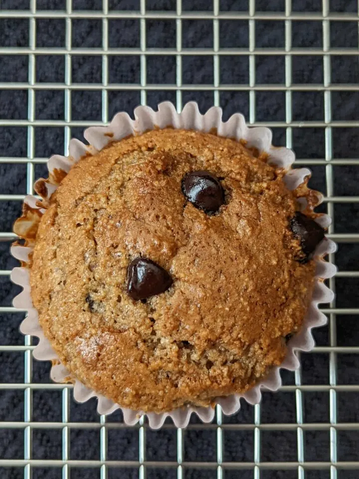 Chocolate chip protein muffin on a cooling rack. 