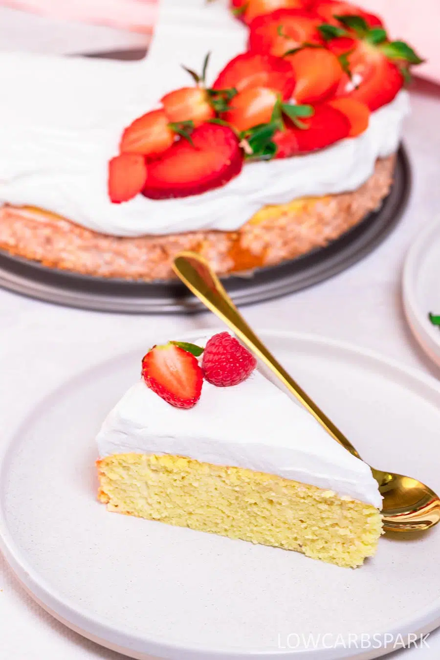 Tres Leches cake slice with the rest of the cake in the background.