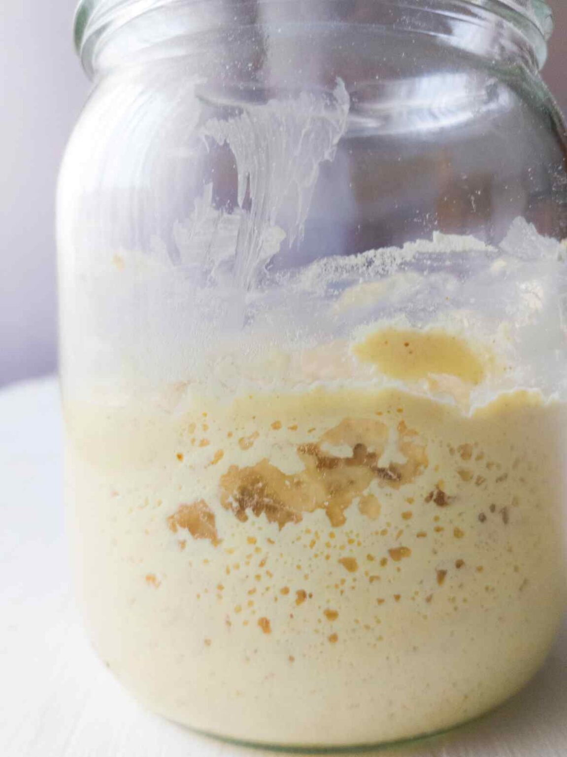 WholeGrain Millet Sourdough Starter Natasha's Home