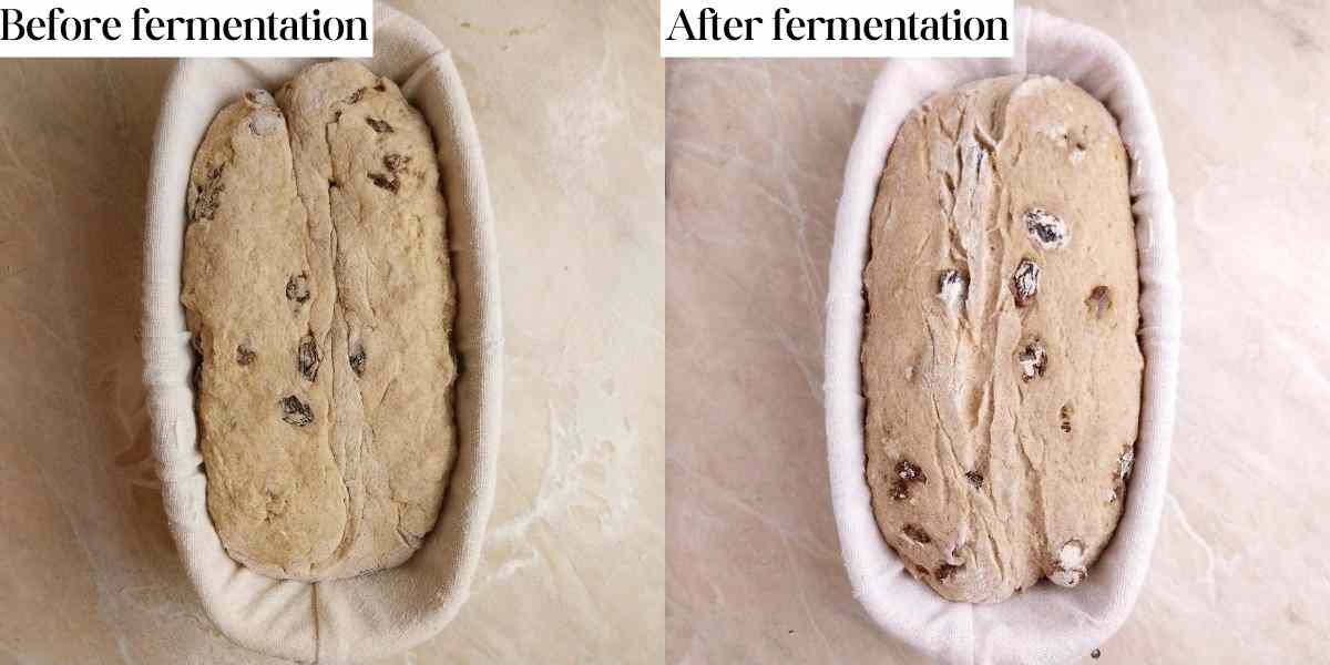 Two pictures of the dough, before and after the rising.