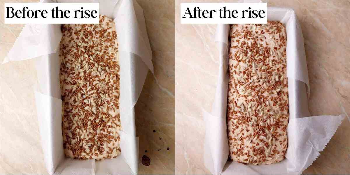 The dough before and after the rise with seeds on top.