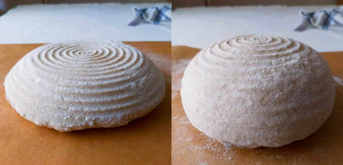 The dough before and after preshaping.
