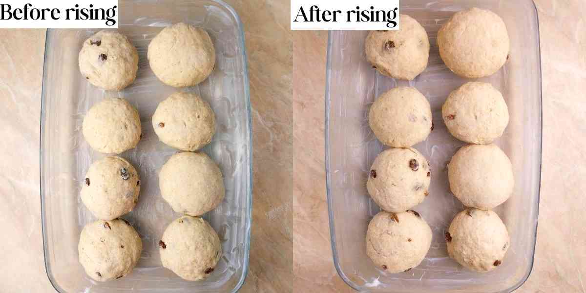 The buns before and after the rise.