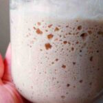 Sorghum flour sourdough starter.
