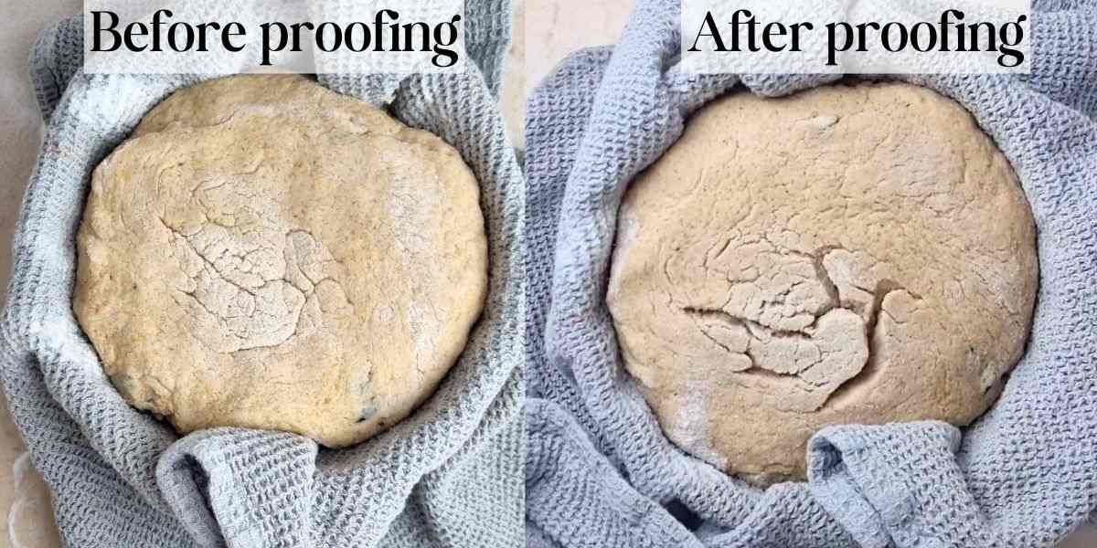 Two picture of the dough before and after fermentation. 