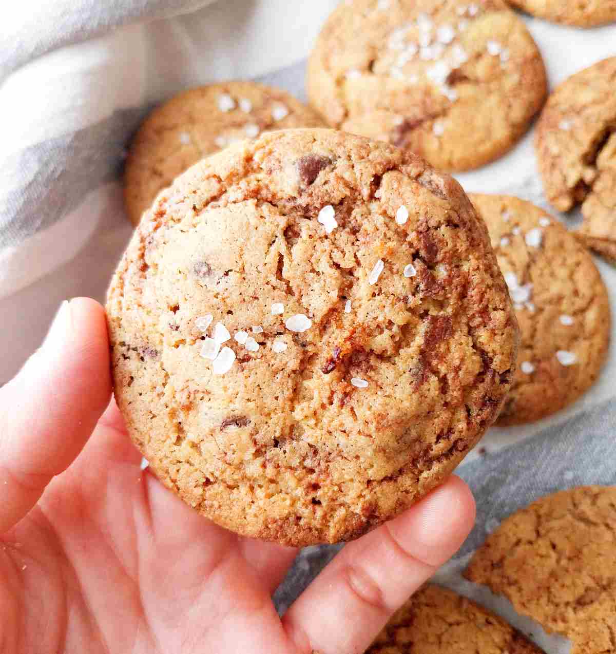 A millet flour cookie with flaky salt on top held in a hand with the rest of the cookies in the background on a kitchen towel.